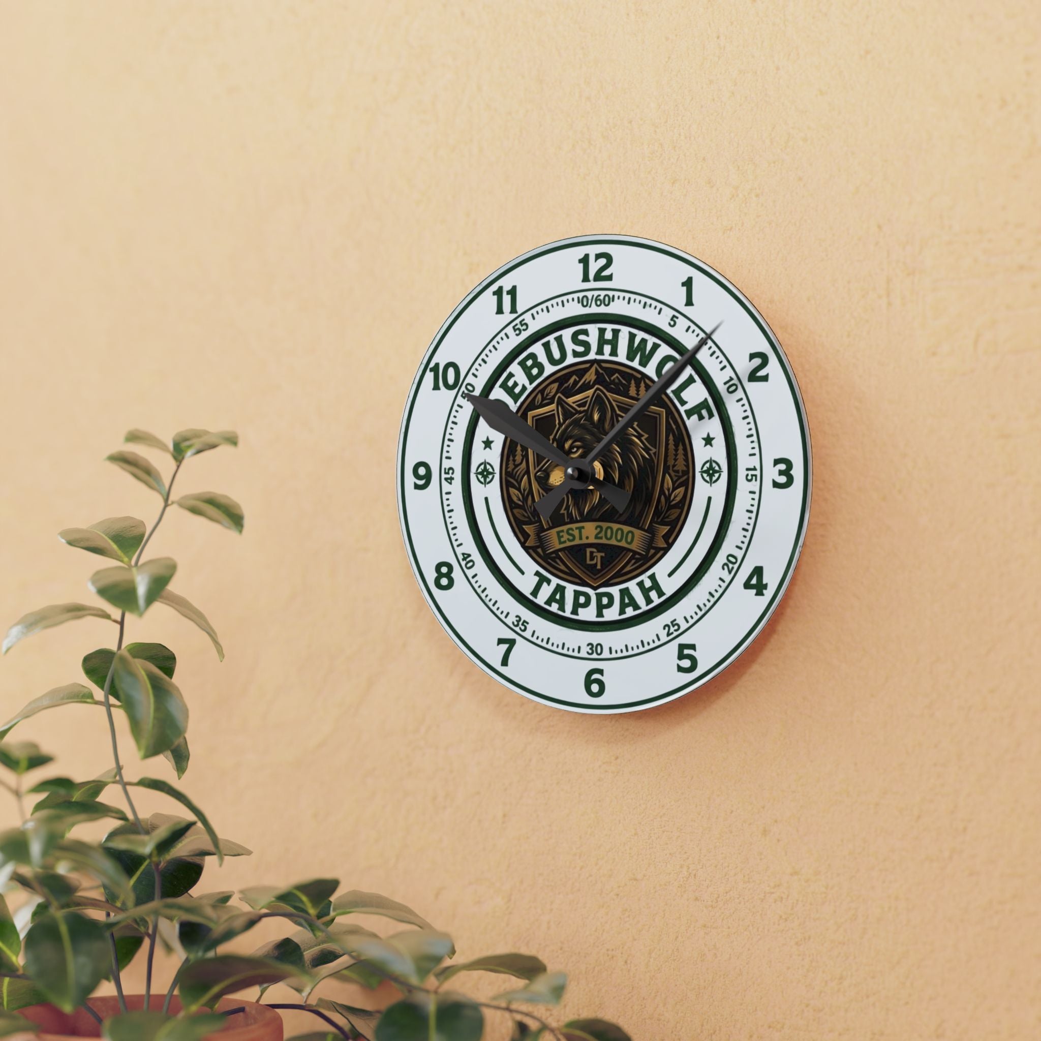 Acrylic Wall Clock